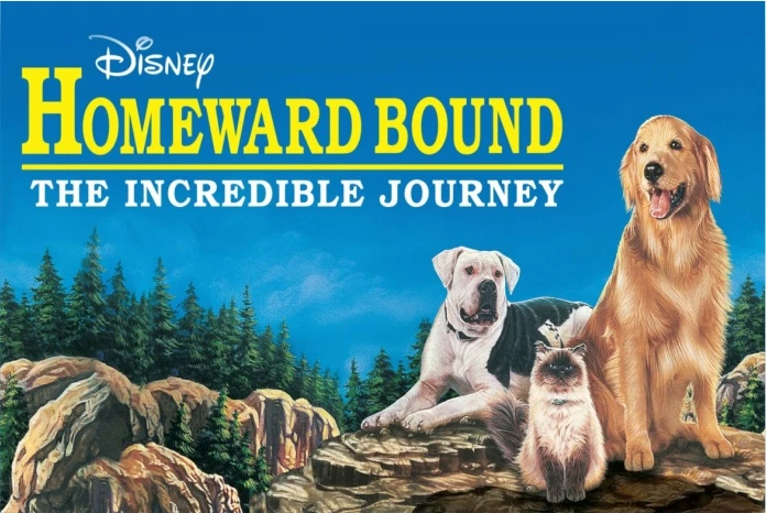 Hollywood Dog Movies Homeward Bound