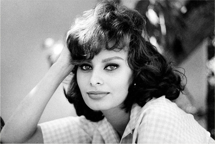 Brunette Actress Sophia Lorenwebp