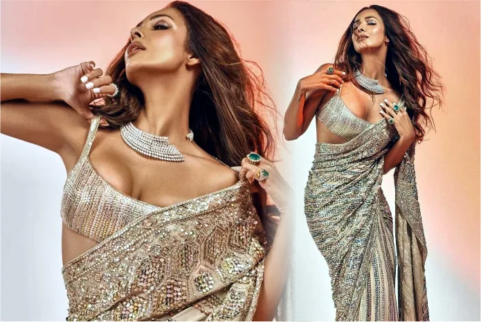 Malaika Arora in sequin saree