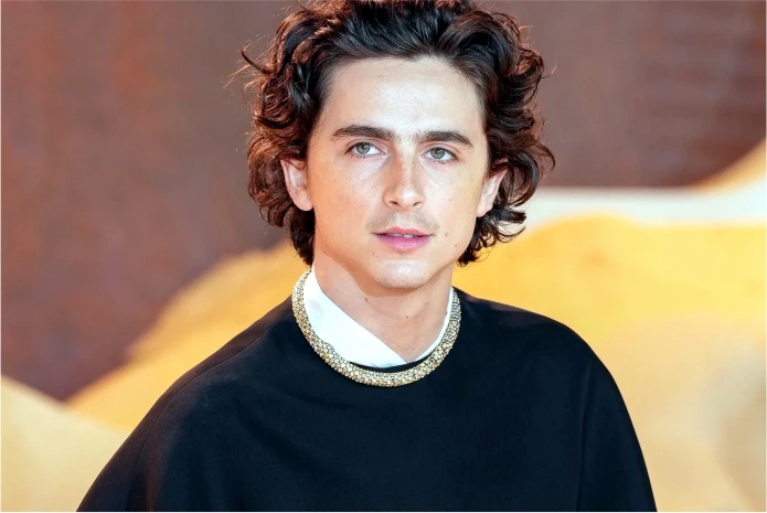 Timothee Chalamet: Young hollywood actors